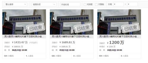 桂林市一個出租到2039年的工廠拍賣,被兩家企業聯合以1433萬買下