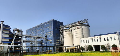 新春走基層丨自貢開放通道 上新 跨境電商產業(yè)蓄勢待發(fā)