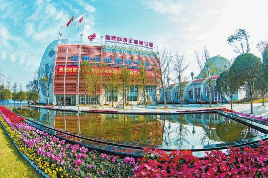 自貢以產業轉型升級為突破口，推動區域振興與企業網站建設