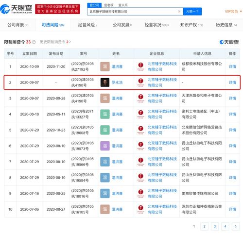 技術轉讓遇阻，羅永浩再陷消費限制風波